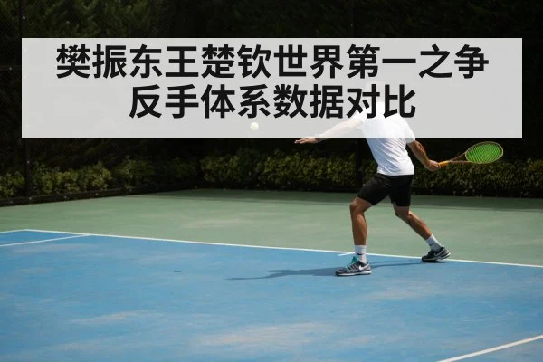 樊振东王楚钦世界第一之争 反手体系数据对比